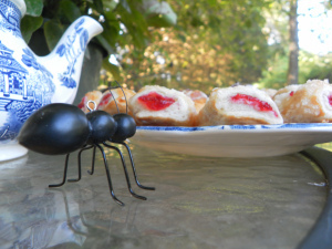 SAMSUNG DIGITAL CAMERA