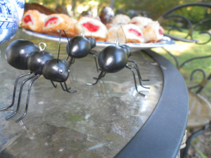 SAMSUNG DIGITAL CAMERA