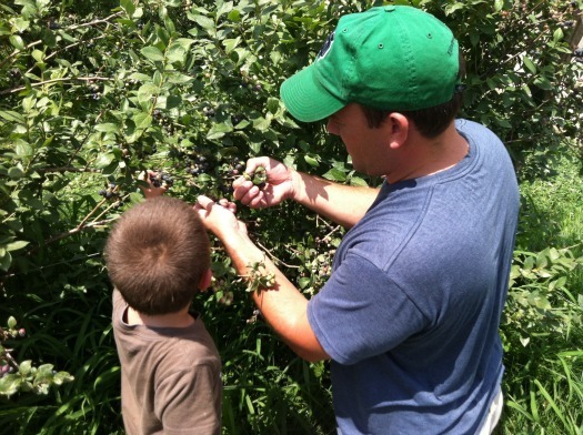 teaching kids where food comes from