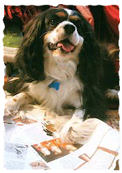 Franklin
