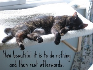 a_day_of_rest