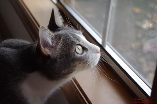My reflection...