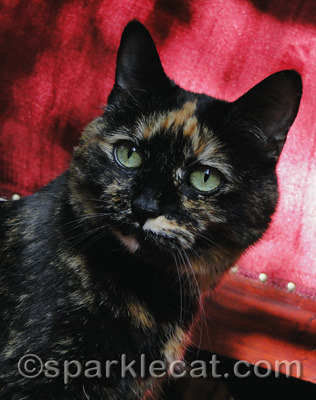 This is her formal portrait. Yeah.