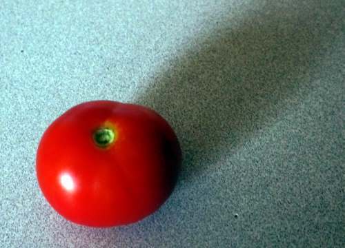 The Lone Tomato