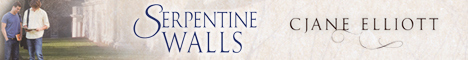 SerpentinveWalls_headerbanner