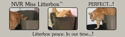 consciouscat_nvrmiss_litterbox_banner_425x125