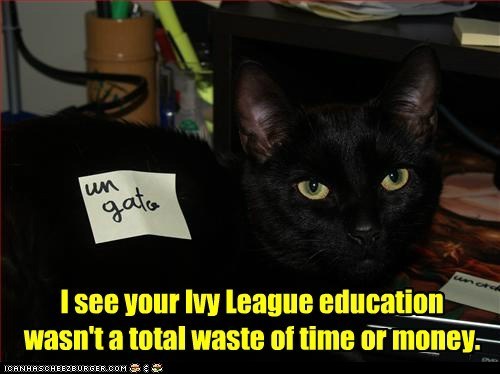 photo of a cat with a post-it note on it that says un gato