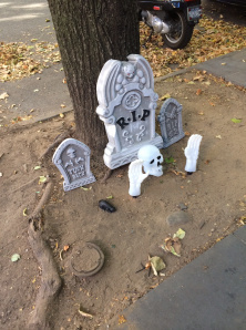 I seriously love this!