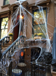 overboard with spiders