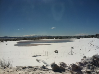Snow & Pond Strawberry AZ