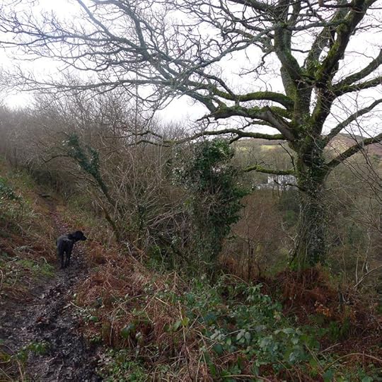 The Muddy Path
