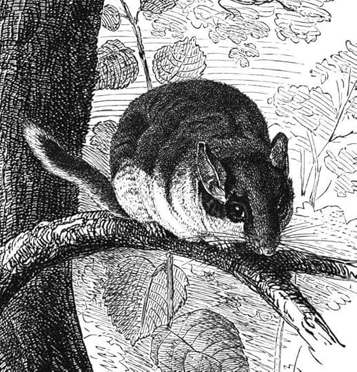 Image: Wikimedia Commons