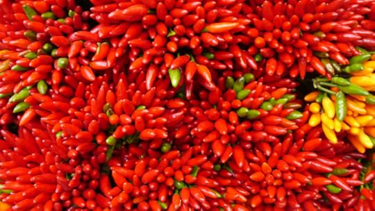 The food in Emilia Romagna is as glorious as the red of these peppers. 