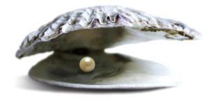 oyster