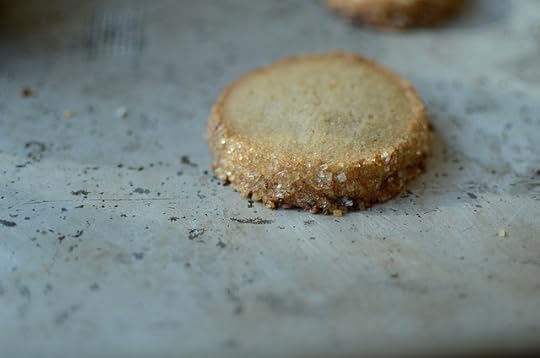 salted rye cookie
