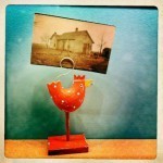 a photo in the hand is worth a bird in the bush...or something
