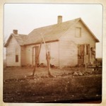 the homestead