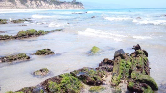 Fireball_Tim-PtDume6