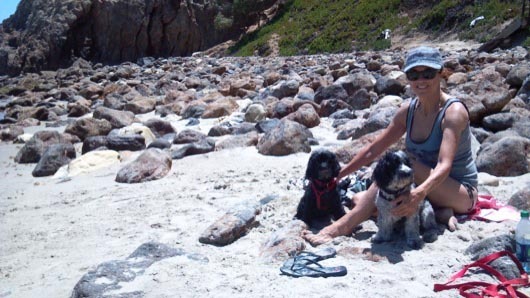 Fireball_Tim-PtDume9