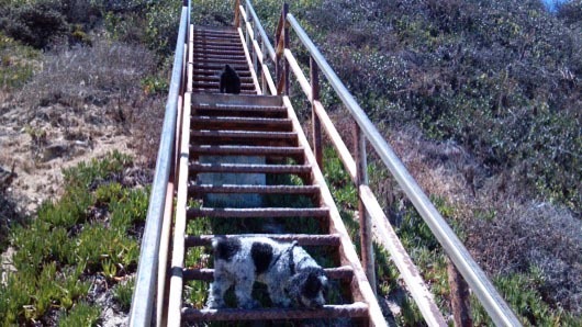 Fireball_Tim-PtDume10