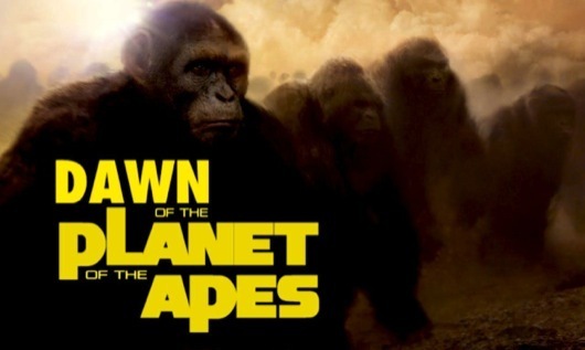 Apes