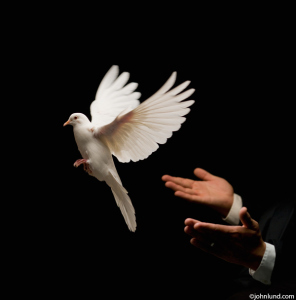 magiciandove