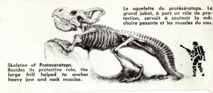 Protoceratops vs spaceman