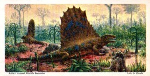 Dimetrodon