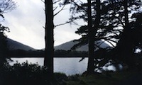 KylemoreAbbeyGrounds_98 043small
