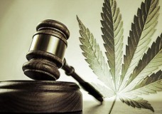 legalizedecriminalizemarijuana