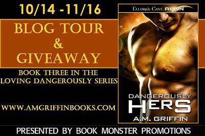 DANGEROUSLY HERS Tour Sidebar Button