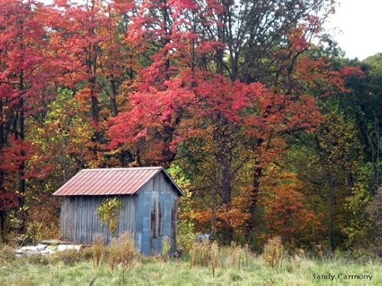 Old shed against a backdrop of beautiful fall foilage. Photo by Sandy Carmony | Lis'Anne Harris