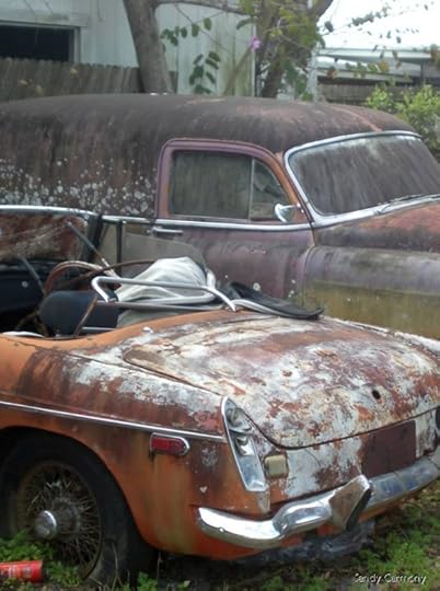 Abandoned automobiles. Photo by Sandy Carmony | Lis'Anne Harris