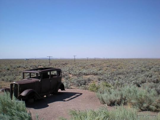 Sadly, utterly abandoned antique car. Photo by Sandy Carmony | Lis'Anne Harris