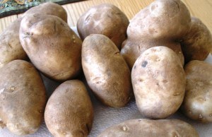 Various shaped potatoes