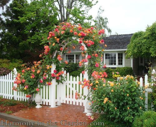Front Yard Arbor Design