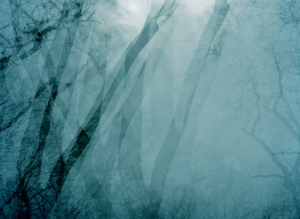 Transitory space photograph by Leah Oates.