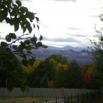 View from our place in Denver.