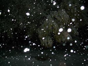 1426485_218571671650083_1937690524_n