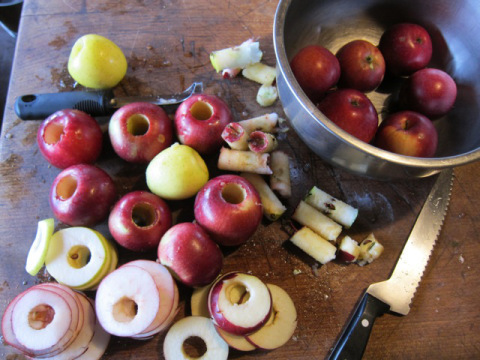 Coring and slicing for dried rings