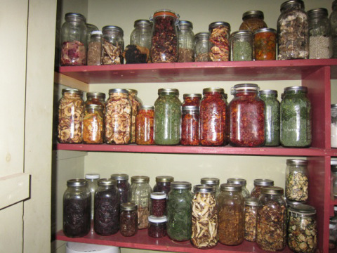The winter pantry. Or a fraction of it, anyway