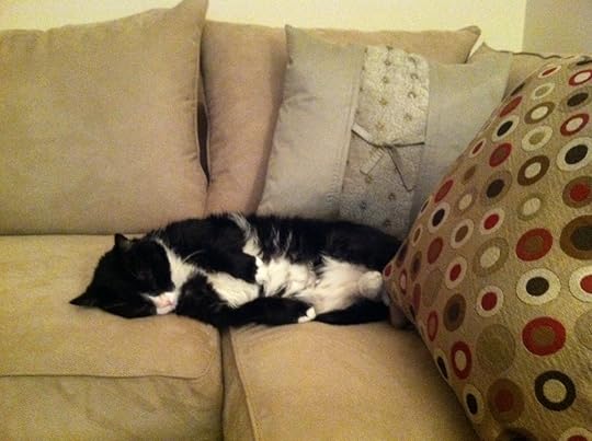 Just napping, not dead
