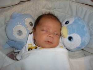 Fighter Writer Junior