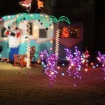 Pink Flamingos!!