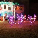Florida Christmas