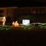 It's a Swamp Christmas!