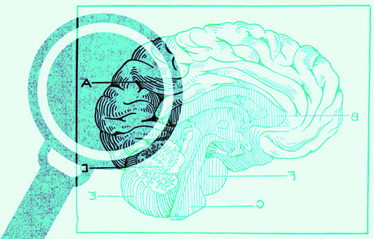 Post image for Psychology in Brief: 6 Things We Didn’t Know Last Week (5 July 2013)