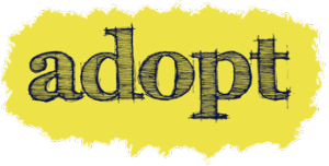 Button_adopt_144
