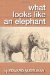 What Looks Like An Elephant by Edward Nudelman