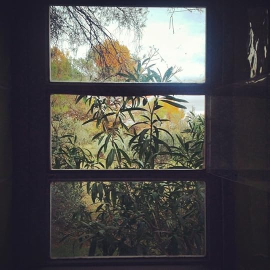 Hello fall colors! #instadaily #fall #life #instagood